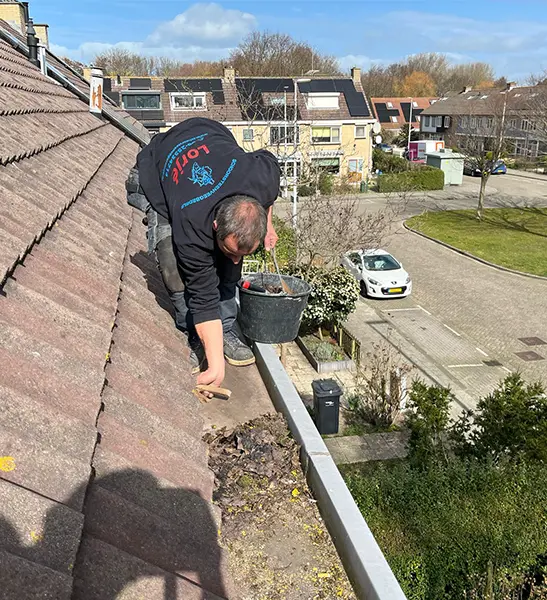 Lorje-dakgoten-schoonmaken Lorje-dakgoten-schoonmaken