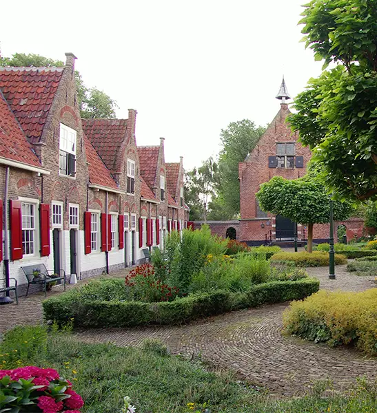 voorkom-schade-met-dakgoot-schoonmaken-in-naaldwijk schoonmaken in naaldwijk