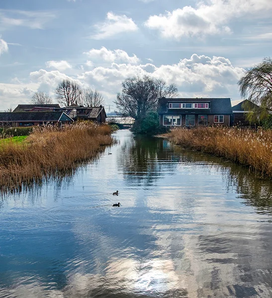 schoorsteenveger in bleiswijk