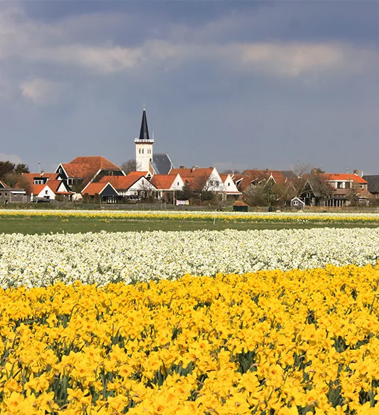 schoorsteenveger-den-hoorn-ervaren-en-snel schoorsteenveger den hoorn
