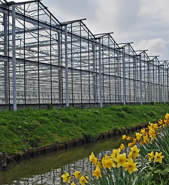 schoorsteenveger-honselersdijk-veilig-en-vakkundig de schoorsteenveger in honselersdijk