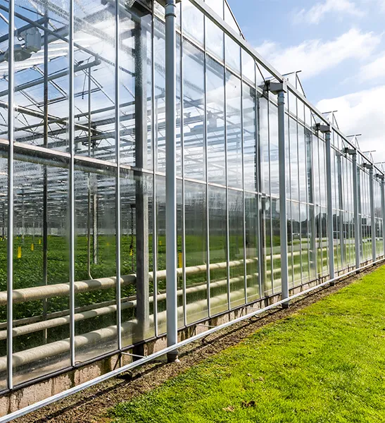 jouw schoorsteenveger in maasdijk