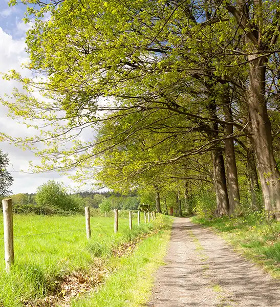schoorsteen veger rijnsburg
